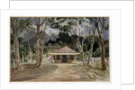 Caminho Velho, Rio de Janeiro, 1830 by Emeric Essex Vidal