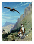 Tiger and Vulture by Jean Leon Gerome