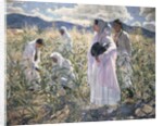 Indian corn, Taos by Walter Ufer