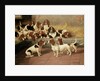 Basset Hounds in a Kennel, 1894 by Valentine Thomas Garland