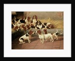 Basset Hounds in a Kennel, 1894 by Valentine Thomas Garland