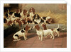 Basset Hounds in a Kennel, 1894 by Valentine Thomas Garland