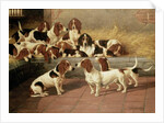 Basset Hounds in a Kennel, 1894 by Valentine Thomas Garland