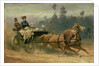 Madame Celestine Nichols Driving in Richmond Park with Her Grandchildren, 1879 by Adam Wray