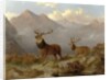 Stags And Hinds In A Highland Landscape, 1864 by John Frederick Herring Jnr
