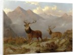 Stags And Hinds In A Highland Landscape, 1864 by John Frederick Herring Jnr