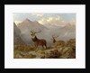 Stags And Hinds In A Highland Landscape, 1864 by John Frederick Herring Jnr