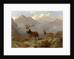 Stags And Hinds In A Highland Landscape, 1864 by John Frederick Herring Jnr