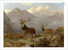 Stags And Hinds In A Highland Landscape, 1864 by John Frederick Herring Jnr