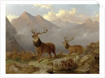 Stags And Hinds In A Highland Landscape, 1864 by John Frederick Herring Jnr