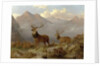 Stags And Hinds In A Highland Landscape, 1864 by John Frederick Herring Jnr