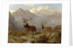 Stags And Hinds In A Highland Landscape, 1864 by John Frederick Herring Jnr