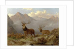 Stags And Hinds In A Highland Landscape, 1864 by John Frederick Herring Jnr