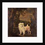 A Lowchen By A Fountain by Jan Wyck