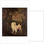 A Lowchen By A Fountain by Jan Wyck