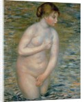 Nude in the Water, 1888 by Pierre Auguste Renoir
