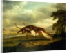 A Hound attacking a stag by George Stubbs