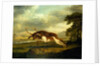 A Hound attacking a stag by George Stubbs