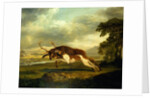 A Hound attacking a stag by George Stubbs