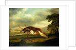 A Hound attacking a stag by George Stubbs