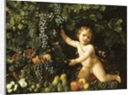 Grapes on the vine, pomegranates, grapes, and rosehips in a basket, with figs, apples, pears and chestnuts by a putto by Master of the Acquavella Still Life