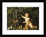 Grapes on the vine, pomegranates, grapes, and rosehips in a basket, with figs, apples, pears and chestnuts by a putto by Master of the Acquavella Still Life