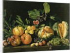 Pomegranates, melons, grapes, peaches, figs and other fruits on a stone ledge by Master of the Acquavella Still Life