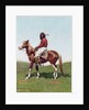 Comanche Brave, Fort Reno, Indian Territory by Frederic Remington