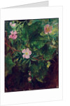 Wild Rose and Grape Vine, Study From Nature, 1871 by John La Farge or Lafarge