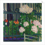 Geranium; Geranien by Koloman Moser
