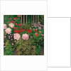 Flowers and Garden Fence; Bluhende Blumen am Gartenzaun by Koloman Moser