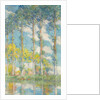 The Poplars, 1891 by Claude Monet
