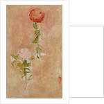 Zynien, Studie by Ferdinand Hodler