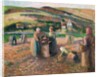 Picking Potatoes, 1893 by Camille Pissarro