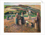 Picking Potatoes, 1893 by Camille Pissarro