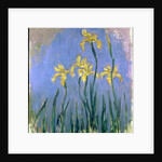 Yellow Irises; Les Iris Jaunes, c.1918-1925 by Claude Monet
