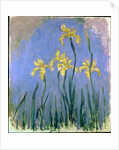 Yellow Irises; Les Iris Jaunes, c.1918-1925 by Claude Monet