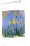 Yellow Irises; Les Iris Jaunes, c.1918-1925 by Claude Monet
