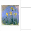 Yellow Irises; Les Iris Jaunes, c.1918-1925 by Claude Monet