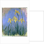 Yellow Irises; Les Iris Jaunes, c.1918-1925 by Claude Monet