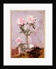 Pink Roses in a Glass Vase, 1911 by Francis Campbell Boileau Cadell