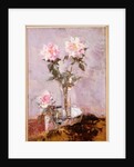 Pink Roses in a Glass Vase, 1911 by Francis Campbell Boileau Cadell
