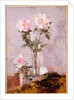 Pink Roses in a Glass Vase, 1911 by Francis Campbell Boileau Cadell