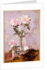 Pink Roses in a Glass Vase, 1911 by Francis Campbell Boileau Cadell