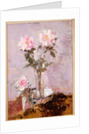 Pink Roses in a Glass Vase, 1911 by Francis Campbell Boileau Cadell