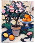 Pink Azalea and Oranges, c.1913 by Samuel John Peploe