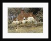 Old Surrey Cottage by Helen Allingham