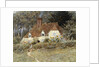 Old Surrey Cottage by Helen Allingham