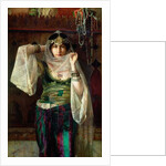 The Queen of the Harem by Max Ferdinand Bredt