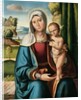 The Madonna and Child by Benvenuto Tisi da Garofalo